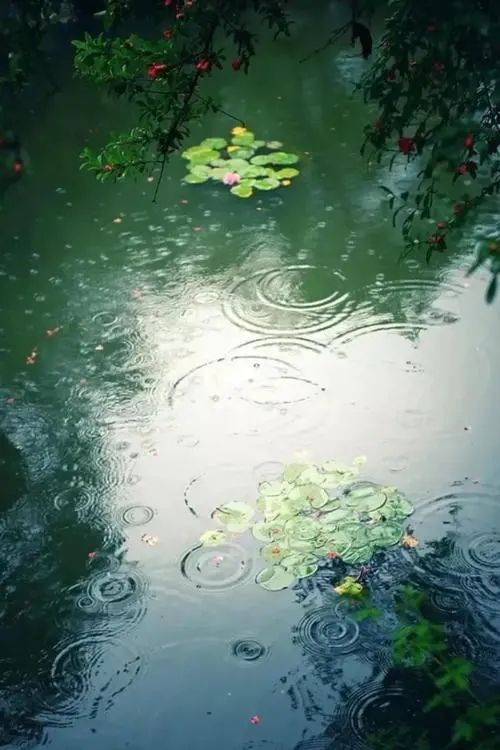 轻松的音乐和轻柔的雨声封面