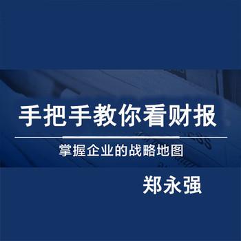 手把手教你看财报(多人剧)封面