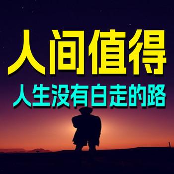 人间值得：人生没有白走的路封面